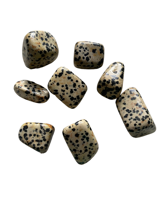 Dalmation Jasper