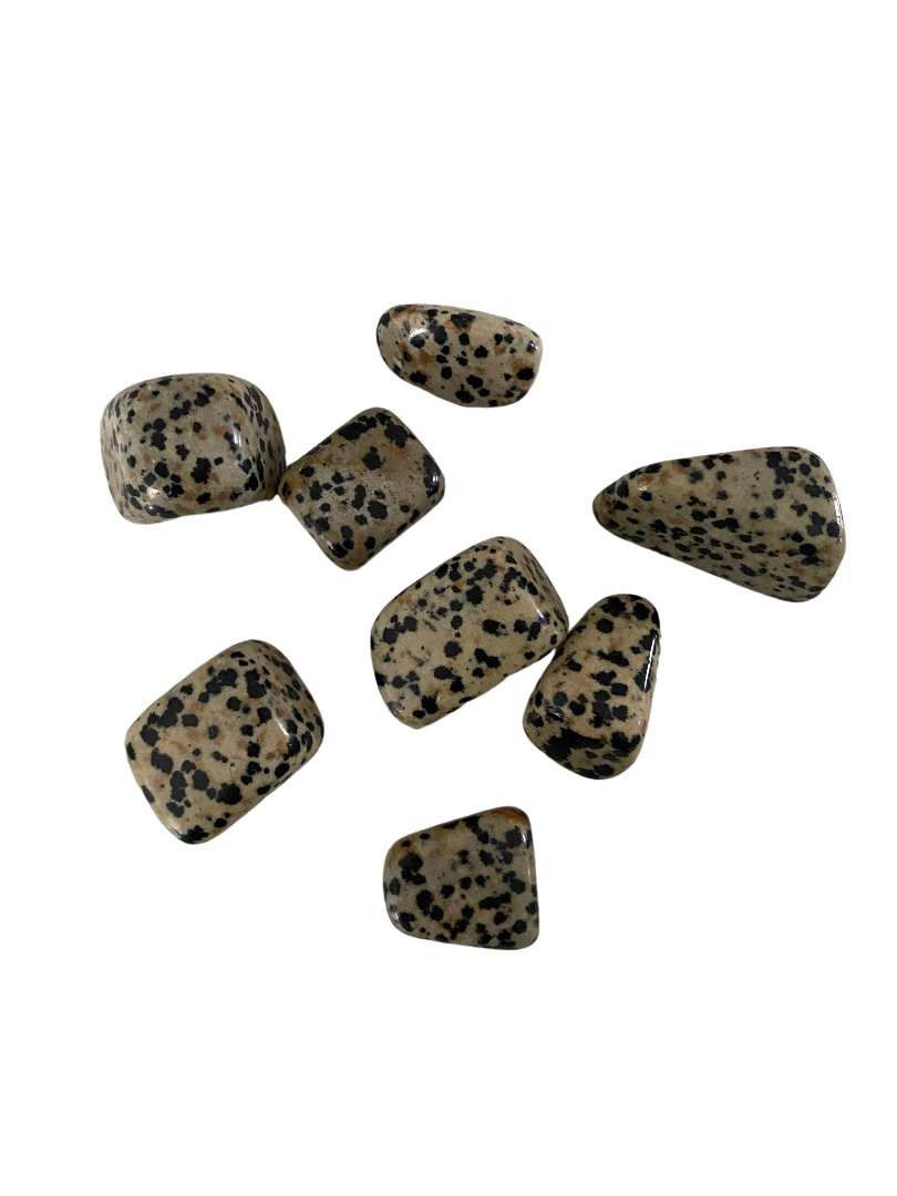 Dalmation Jasper